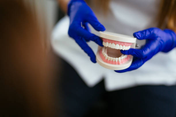 Lake Lakengren, OH Holistic Dental Care Services Company